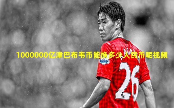 1000000亿津巴布韦币能换多少人民币呢视频
