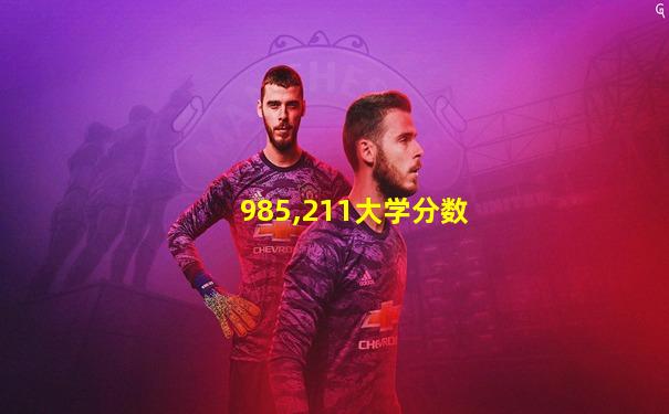 985,211大学分数