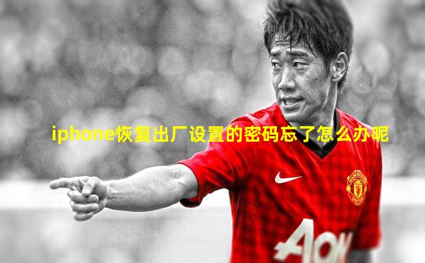 iphone恢复出厂设置的密码忘了怎么办呢