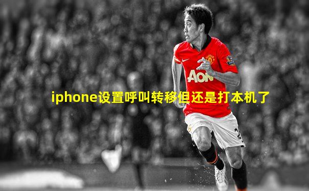iphone设置呼叫转移但还是打本机了