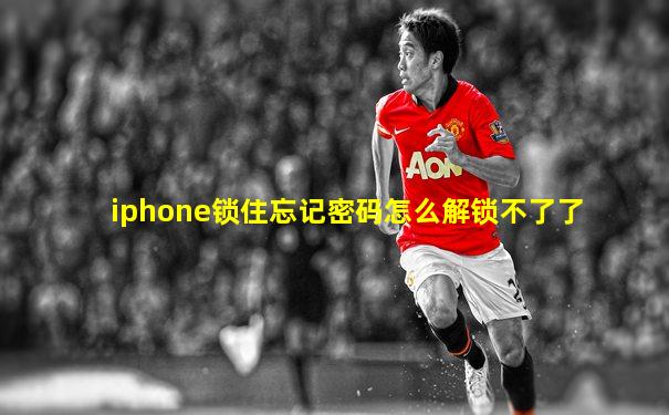 iphone锁住忘记密码怎么解锁不了了
