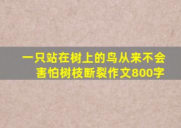 一只站在树上的鸟从来不会害怕树枝断裂作文800字