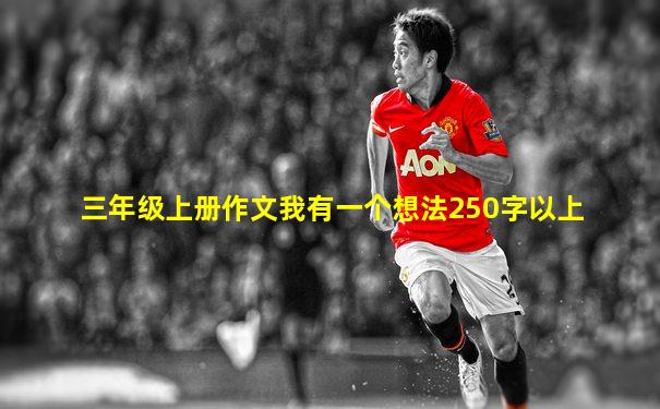 三年级上册作文我有一个想法250字以上