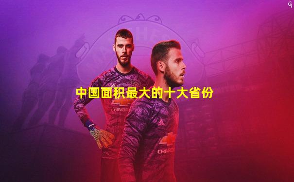 中国面积最大的十大省份