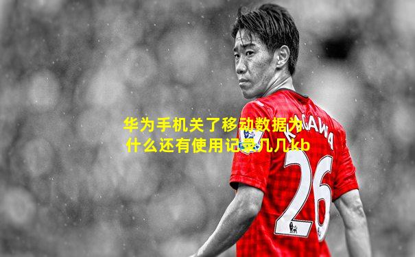 华为手机关了移动数据为什么还有使用记录几几kb