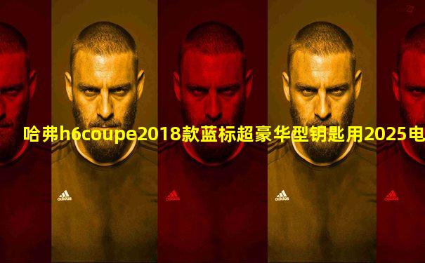 哈弗h6coupe2018款蓝标超豪华型钥匙用2025电池吗