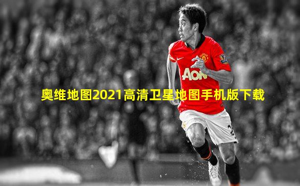 奥维地图2021高清卫星地图手机版下载