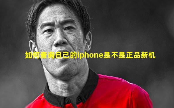 如何查询自己的iphone是不是正品新机