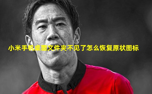 小米手机桌面文件夹不见了怎么恢复原状图标