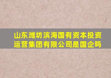 山东潍坊滨海国有资本投资运营集团有限公司是国企吗