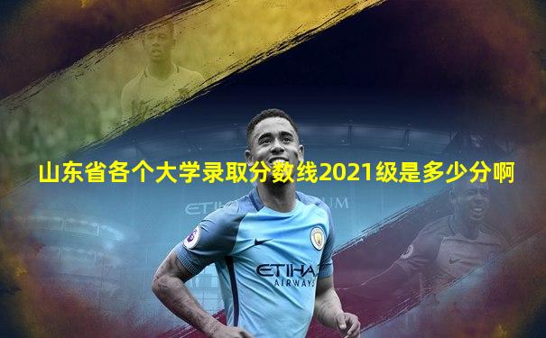 山东省各个大学录取分数线2021级是多少分啊