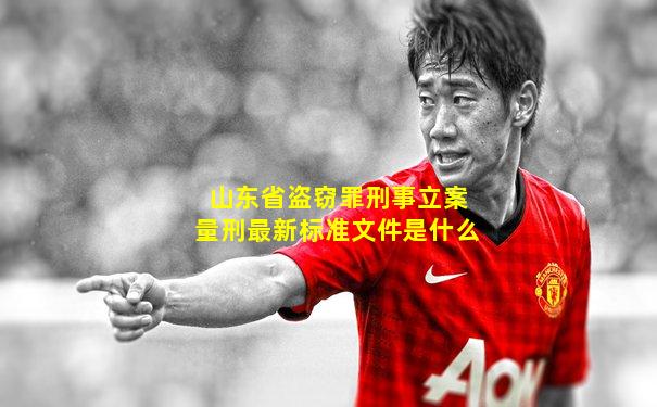 山东省盗窃罪刑事立案量刑最新标准文件是什么