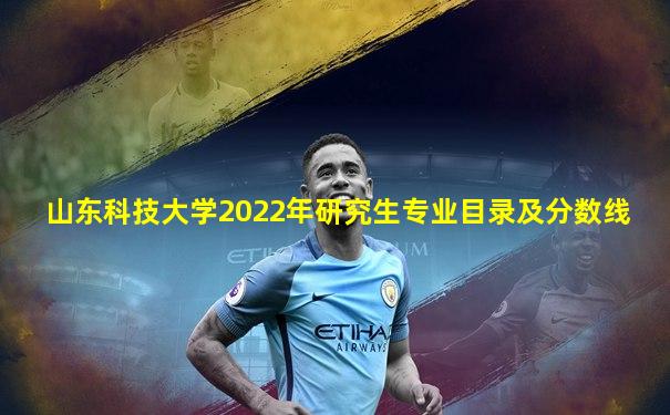 山东科技大学2022年研究生专业目录及分数线