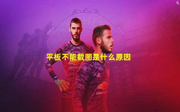 平板不能截图是什么原因