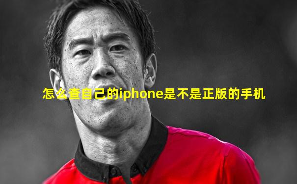 怎么查自己的iphone是不是正版的手机
