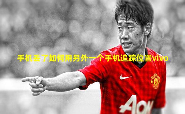 手机丢了如何用另外一个手机追踪位置vivo