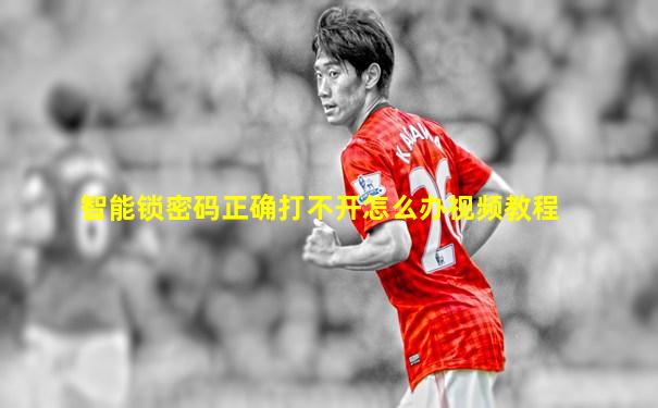 智能锁密码正确打不开怎么办视频教程