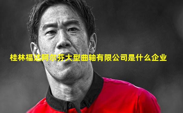 桂林福达阿尔芬大型曲轴有限公司是什么企业