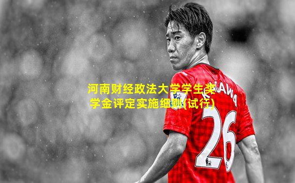 河南财经政法大学学生奖学金评定实施细则(试行)
