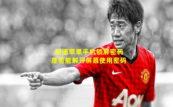 知道苹果手机锁屏密码是否能解开屏幕使用密码