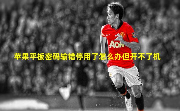 苹果平板密码输错停用了怎么办但开不了机