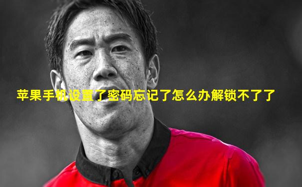 苹果手机设置了密码忘记了怎么办解锁不了了