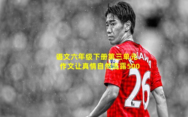 语文六年级下册第三单元作文让真情自然流露500