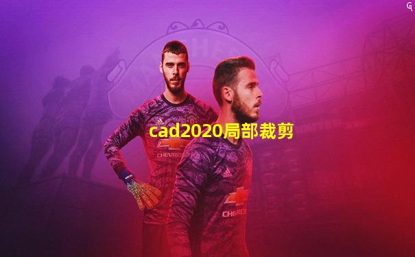 cad2020局部裁剪