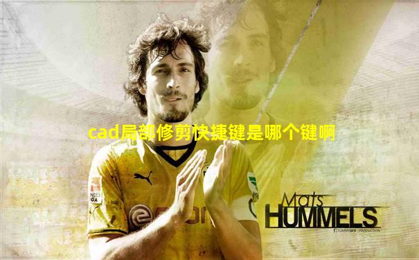 cad局部修剪快捷键是哪个键啊
