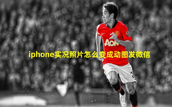 iphone实况照片怎么变成动图发微信