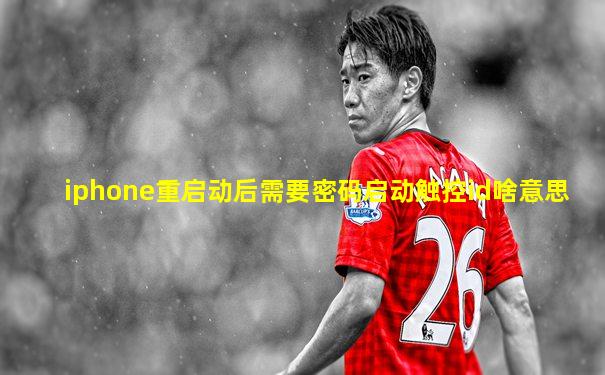 iphone重启动后需要密码启动触控id啥意思