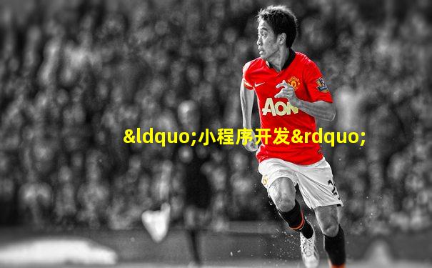 “小程序开发”