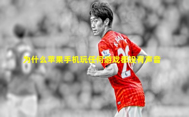 为什么苹果手机玩任何游戏都没有声音