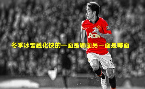 冬季冰雪融化快的一面是哪面另一面是哪面