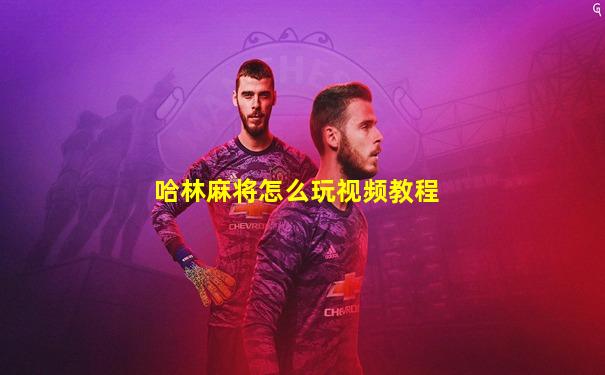 哈林麻将怎么玩视频教程
