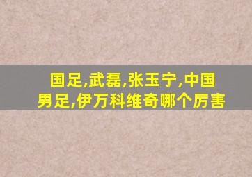 国足,武磊,张玉宁,中国男足,伊万科维奇哪个厉害