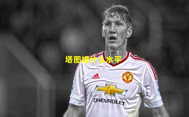 塔图姆什么水平