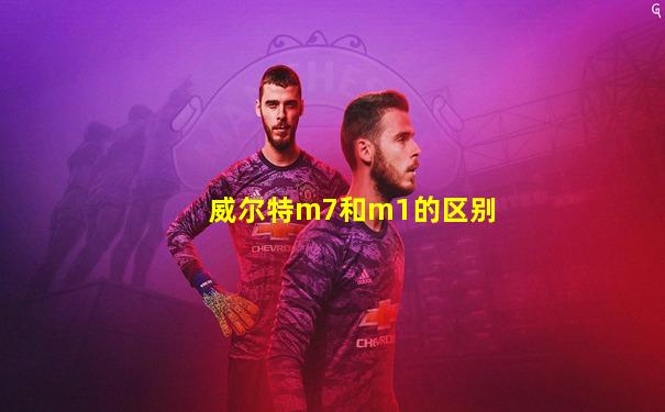 威尔特m7和m1的区别