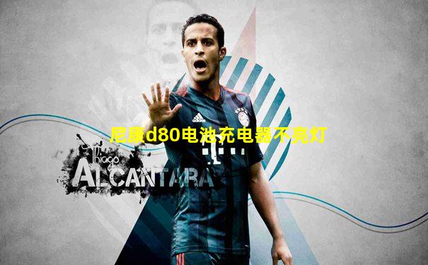 尼康d80电池充电器不亮灯