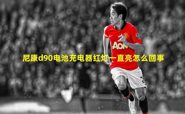 尼康d90电池充电器红灯一直亮怎么回事