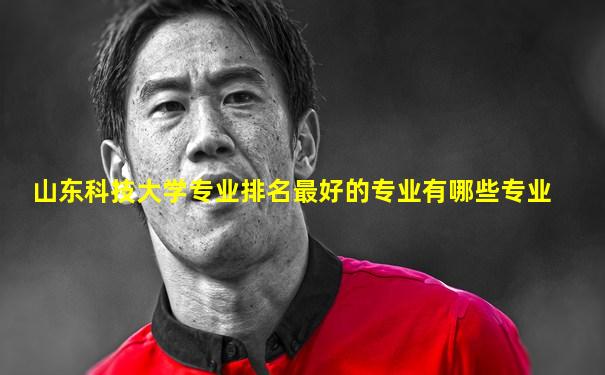 山东科技大学专业排名最好的专业有哪些专业