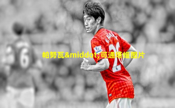 帕努瓦·可通塔维图片
