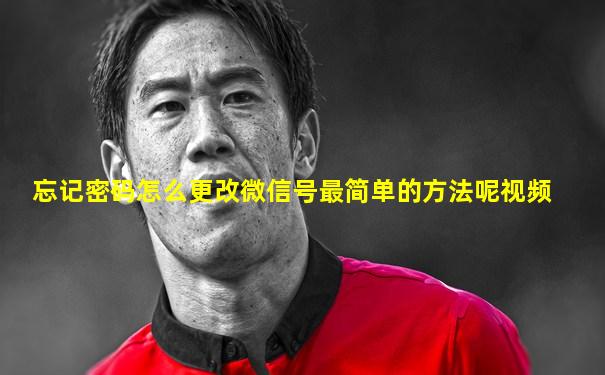 忘记密码怎么更改微信号最简单的方法呢视频