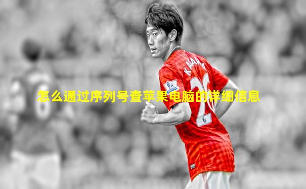 怎么通过序列号查苹果电脑的详细信息