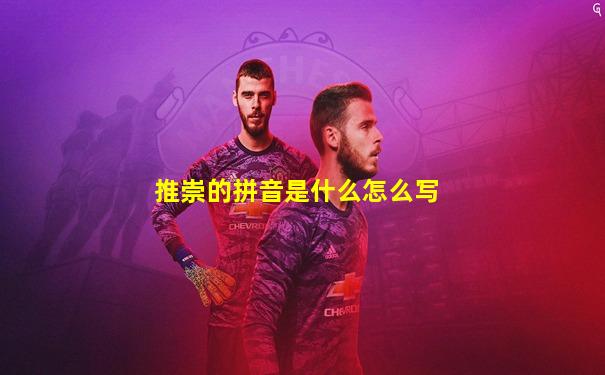 推崇的拼音是什么怎么写