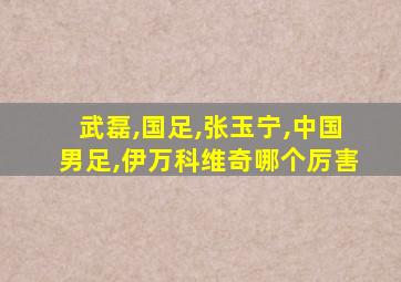 武磊,国足,张玉宁,中国男足,伊万科维奇哪个厉害