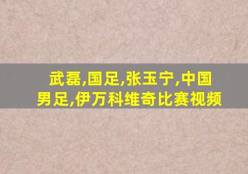 武磊,国足,张玉宁,中国男足,伊万科维奇比赛视频