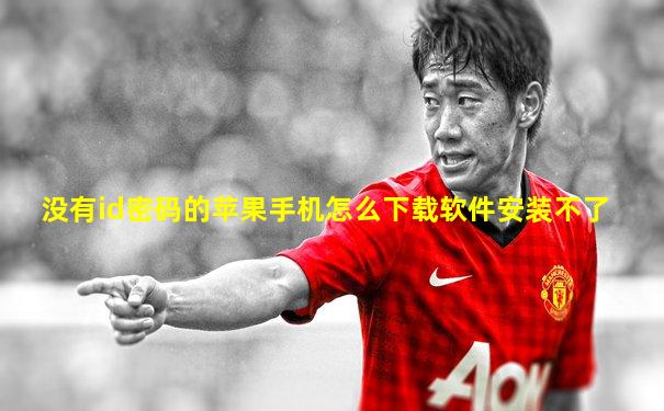 没有id密码的苹果手机怎么下载软件安装不了