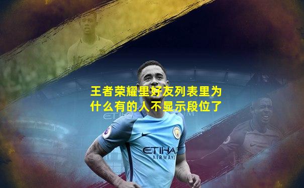 王者荣耀里好友列表里为什么有的人不显示段位了