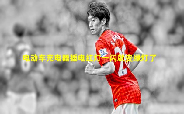 电动车充电器插电红灯一闪就变绿灯了
